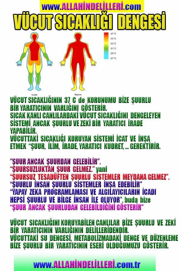 Allahın Varlığının Delilleri, Allahın Delilleri, Tanrının ispatı, Tanrının kanıtları, Allahın ispatı, Allahin delilleri