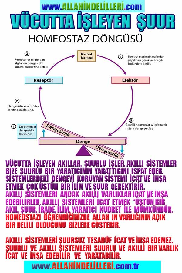 Allahın Varlığının Delilleri, Allahın Delilleri, Tanrının ispatı, Tanrının kanıtları, Allahın ispatı, Allahin delilleri