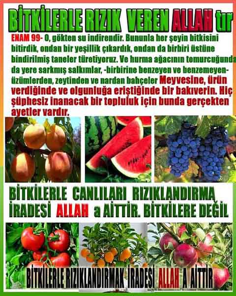 Allahın Varlığının Delilleri, Allahın Delilleri, Tanrının ispatı, Tanrının kanıtları, Allahın ispatı, Allahin delilleri