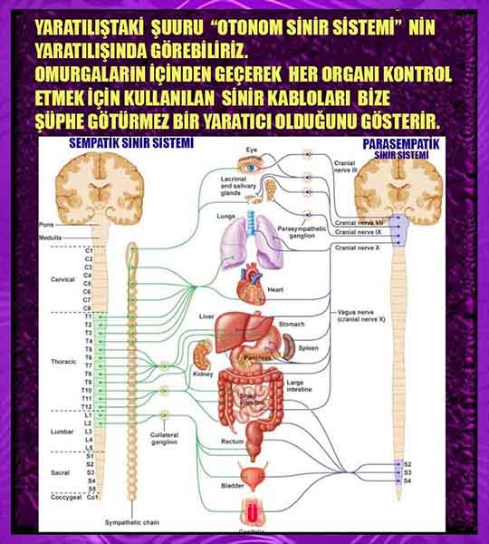 Allahın Varlığının Delilleri, Allahın Delilleri, Tanrının ispatı, Tanrının kanıtları, Allahın ispatı, Allahin delilleri