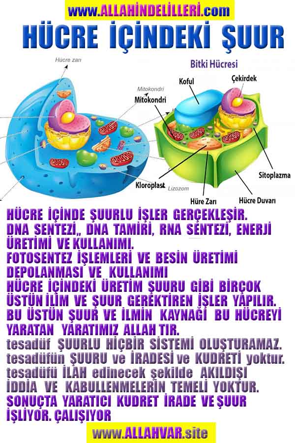 Allahın Varlığının Delilleri, Allahın Delilleri, Tanrının ispatı, Tanrının kanıtları, Allahın ispatı, Allahin delilleri