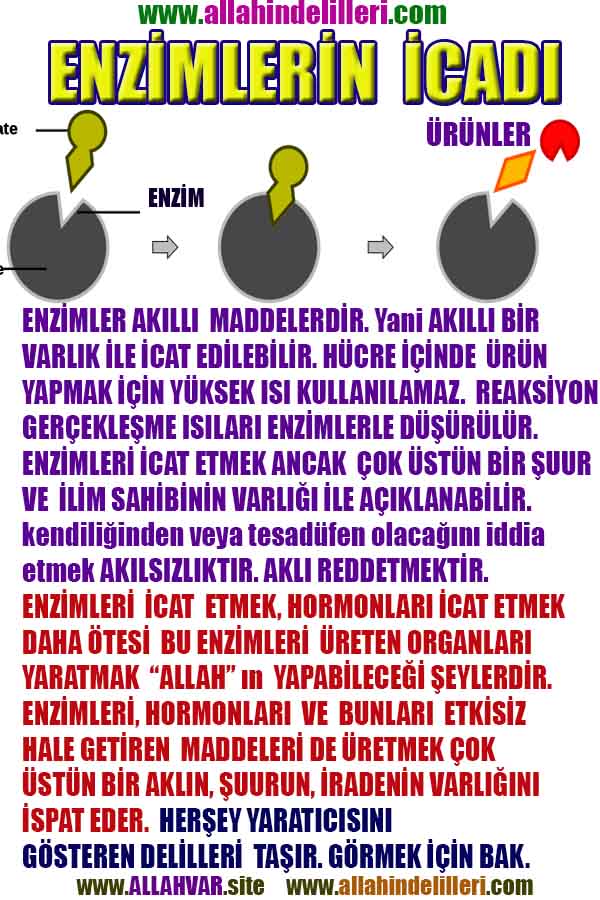 Allahın Varlığının Delilleri, Allahın Delilleri, Tanrının ispatı, Tanrının kanıtları, Allahın ispatı, Allahin delilleri