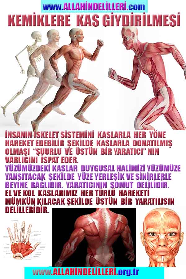 Allahın Varlığının Delilleri, Allahın Delilleri, Tanrının ispatı, Tanrının kanıtları, Allahın ispatı, Allahin delilleri