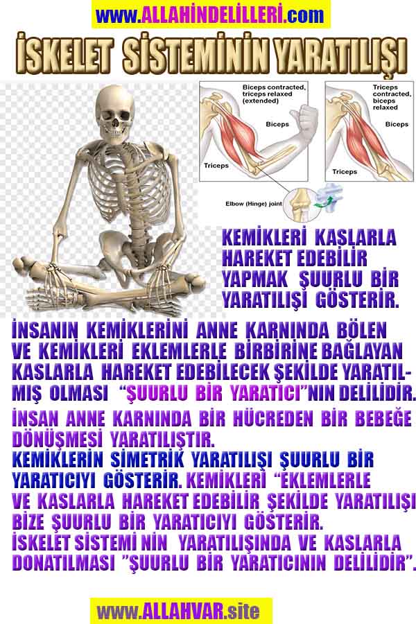 Allahın Varlığının Delilleri, Allahın Delilleri, Tanrının ispatı, Tanrının kanıtları, Allahın ispatı, Allahin delilleri