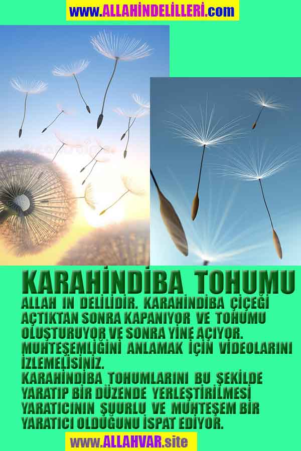 Allahın Varlığının Delilleri, Allahın Delilleri, Tanrının ispatı, Tanrının kanıtları, Allahın ispatı, Allahin delilleri
