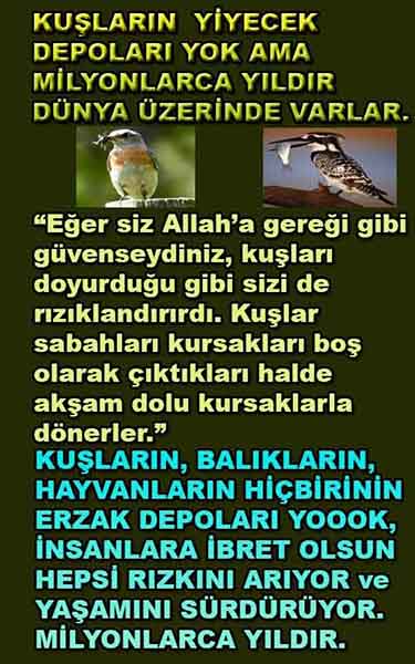 Allahın Varlığının Delilleri, Allahın Delilleri, Tanrının ispatı, Tanrının kanıtları, Allahın ispatı, Allahin delilleri
