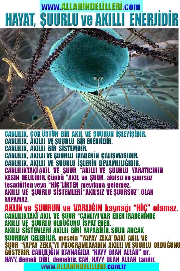 Allahın Varlığının Delilleri, Allahın Delilleri, Tanrının ispatı, Tanrının kanıtları, Allahın ispatı, Allahin delilleri