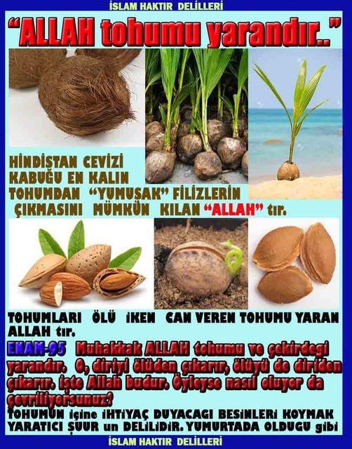 Allahın Varlığının Delilleri, Allahın Delilleri, Tanrının ispatı, Tanrının kanıtları, Allahın ispatı, Allahin delilleri