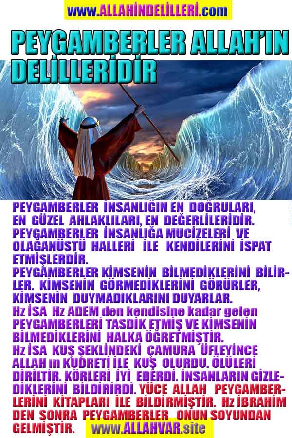 Allahın Varlığının Delilleri, Allahın Delilleri, Tanrının ispatı, Tanrının kanıtları, Allahın ispatı, Allahin delilleri