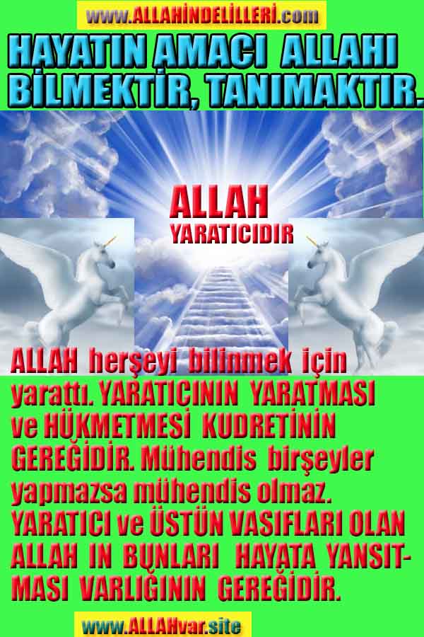 Allahın Varlığının Delilleri, Allahın Delilleri, Tanrının ispatı, Tanrının kanıtları, Allahın ispatı, Allahin delilleri