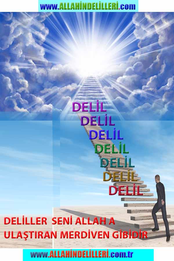 Allahın Varlığının Delilleri, Allahın Delilleri, Tanrının ispatı, Tanrının kanıtları, Allahın ispatı, Allahin delilleri